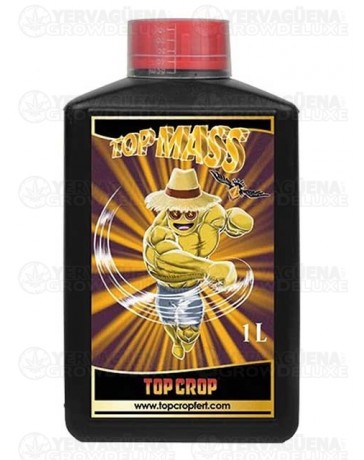 Top Mass - Top Crop