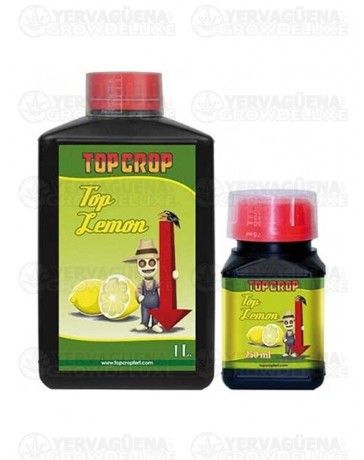 Top Lemon - Top Crop