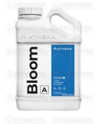 BLOOM A - ATHENEA