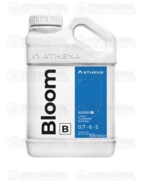 BLOOM B - ATHENEA