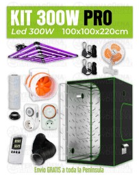 KIT ARMARIO 100X100X220 LED LUMATEK ATTIS 300W PRO 