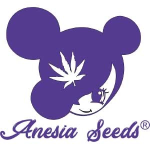 Anesia Seeds